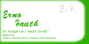 erno hauth business card